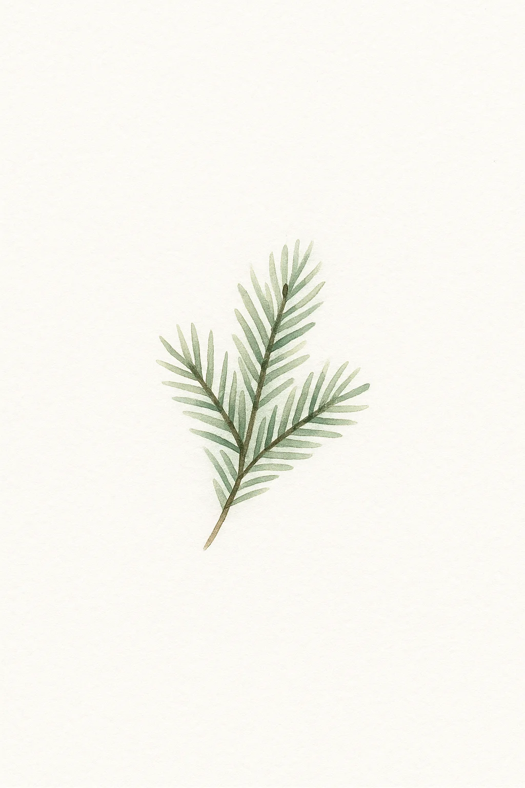Minimalist watercolor illustration of a green pine branch on a white background, simple botanical Christmas design with natural foliage detail.
