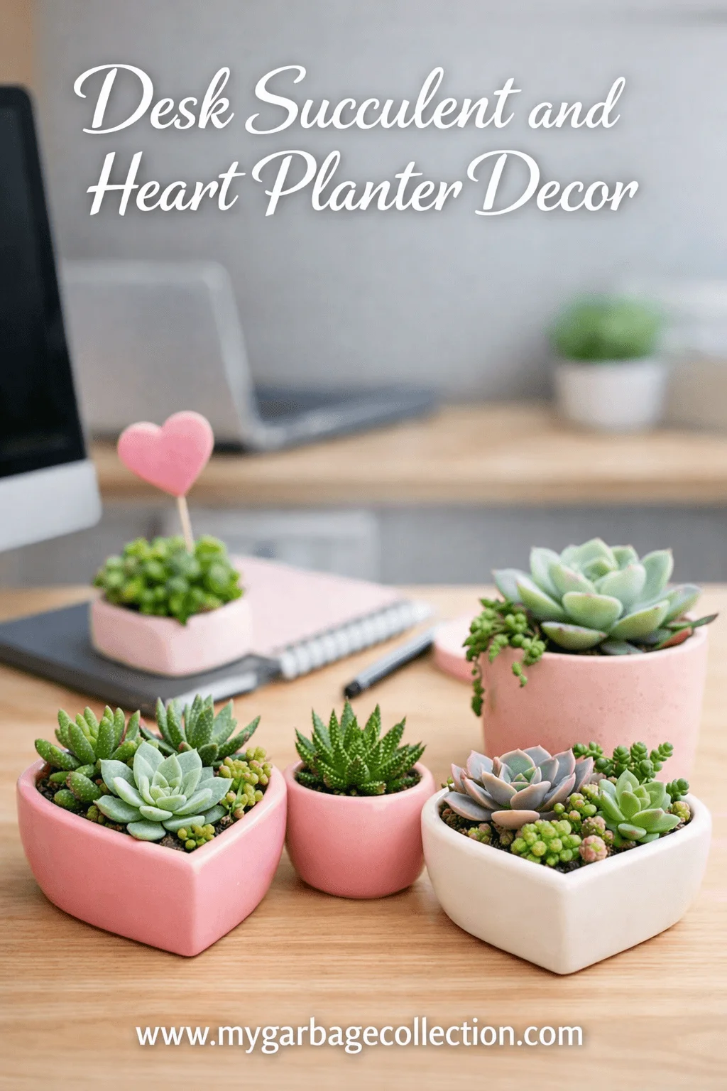 Desk succulent and heart planter decor featuring small green succulents in pink and white heart shaped pots on an office desk with notebook pen computer and soft Valentine themed workspace styling with website url mygarbagecollection.com