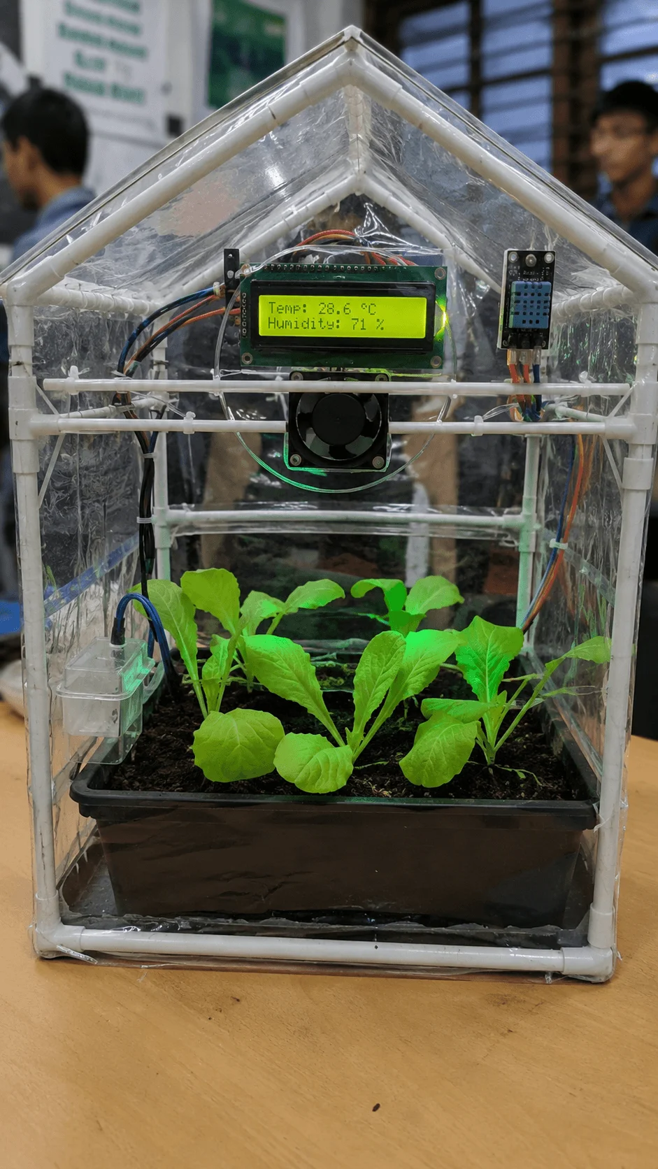 Mini greenhouse climate control system project with temperature and humidity sensors digital display cooling fan and healthy plants inside a transparent automated greenhouse setup for smart farming and environmental monitoring