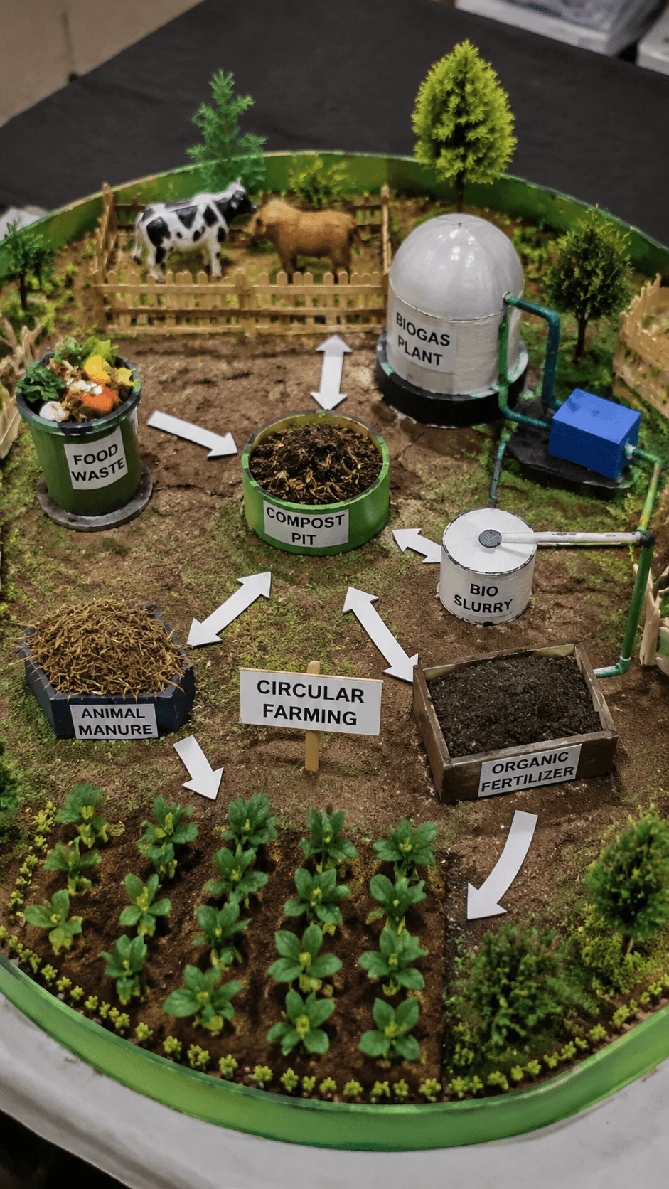 Circular farm waste recycling model showing compost pit, food waste, animal manure, biogas plant, organic fertilizer, bio slurry, crop fields, and a sustainable closed loop farming system