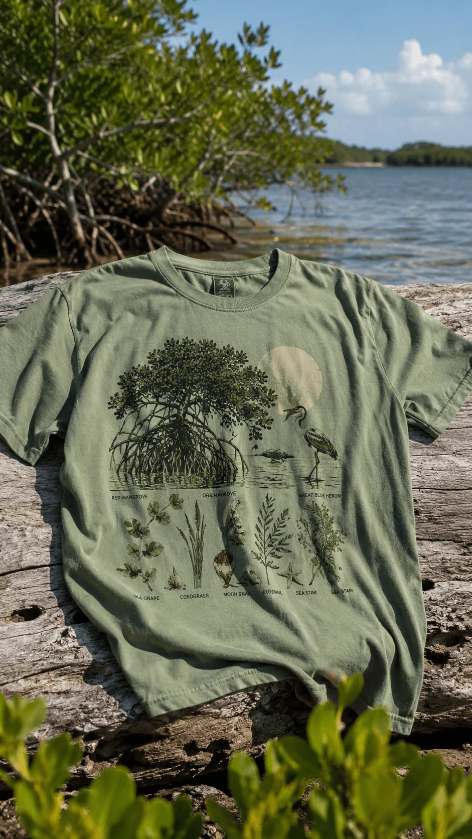 Sage green T shirt with mangrove ecosystem and coastal wildlife illustrations displayed beside the water