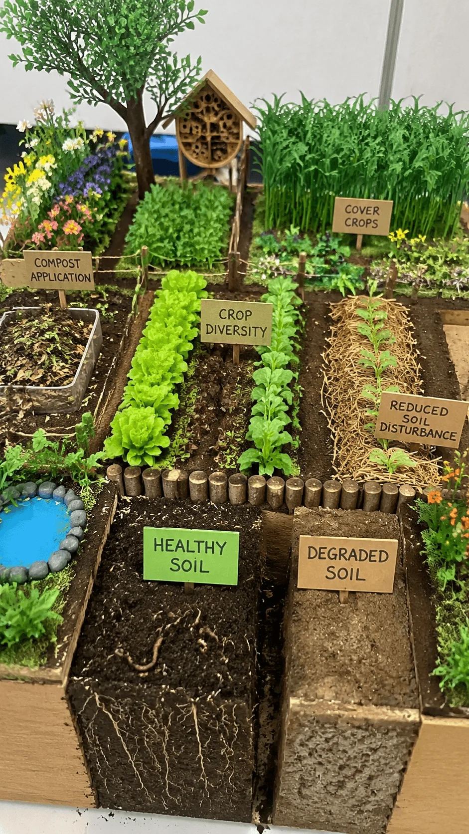 Regenerative agriculture project showing a sustainable farm model with healthy soil degraded soil comparison compost application cover crops crop diversity and reduced soil disturbance practices