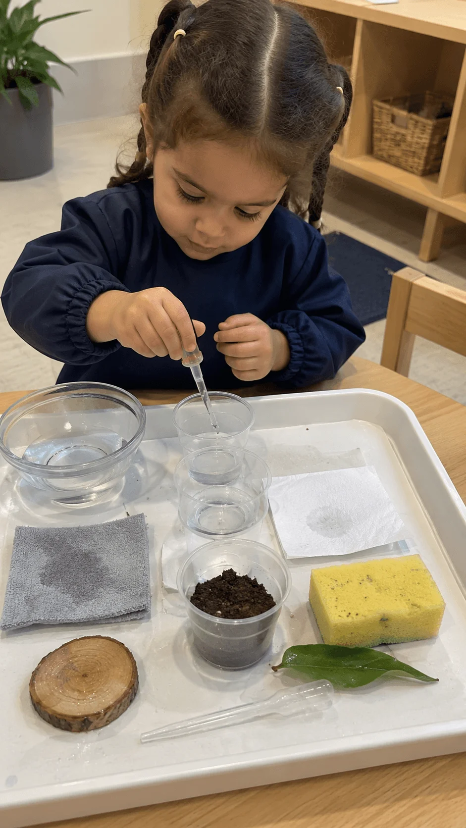 Child exploring water conservation through a science activity with water samples soil and natural materials during a preschool learning experiment
