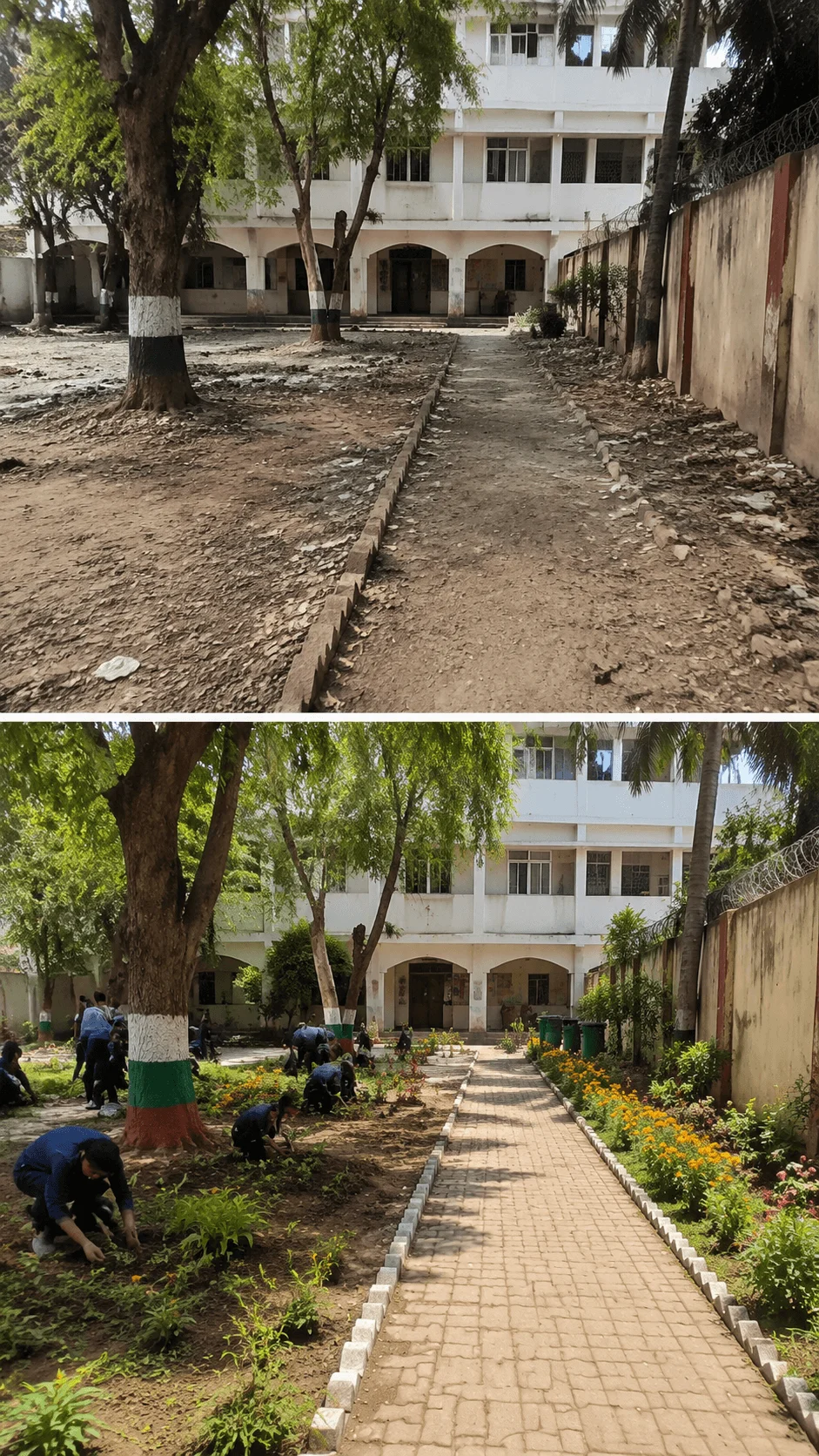 Before and after campus transformation showing students creating a green garden space and improving the school environment