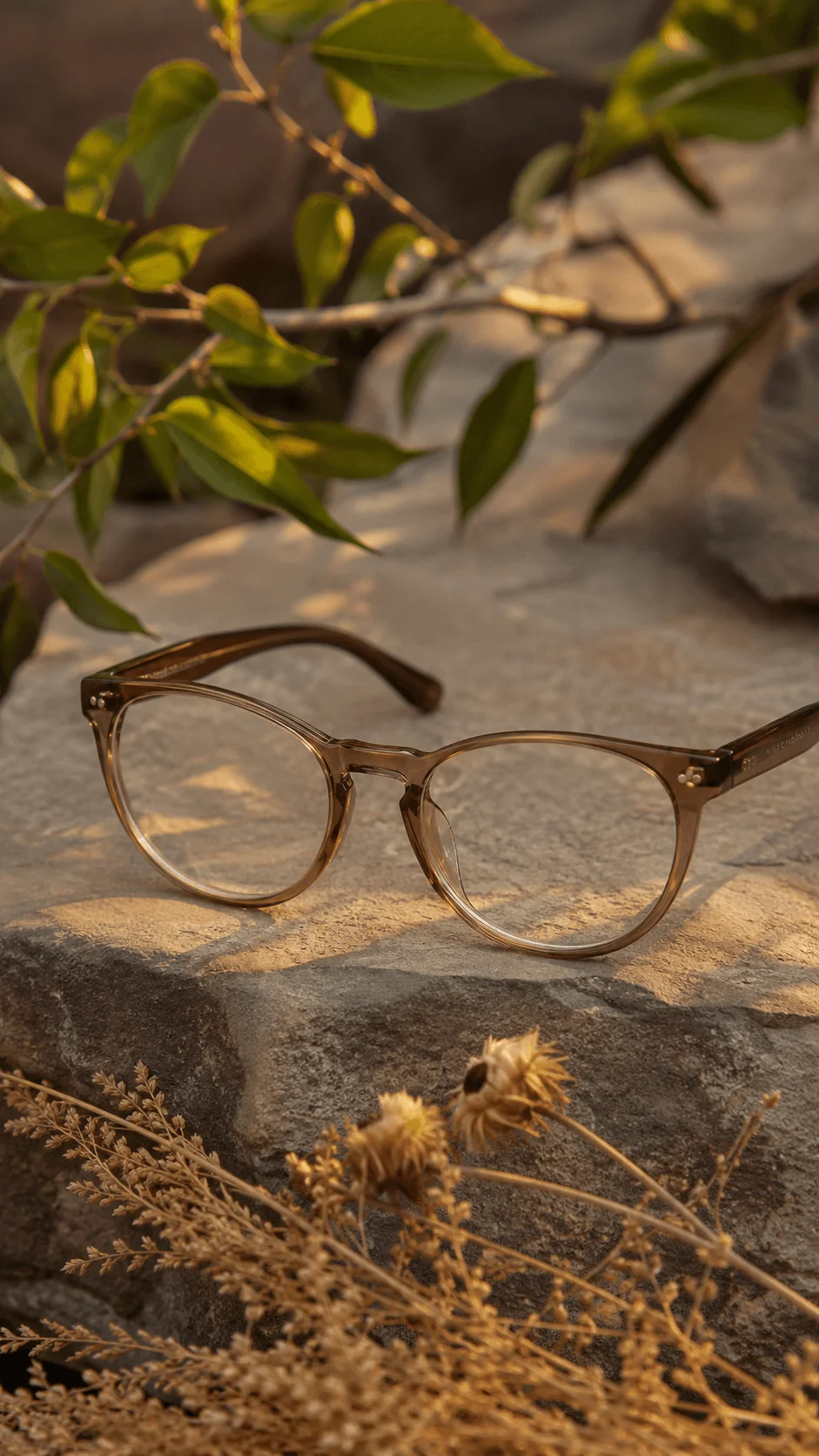 Nature inspired brown glasses displayed on a stone surface surrounded by green leaves and dried flowers
