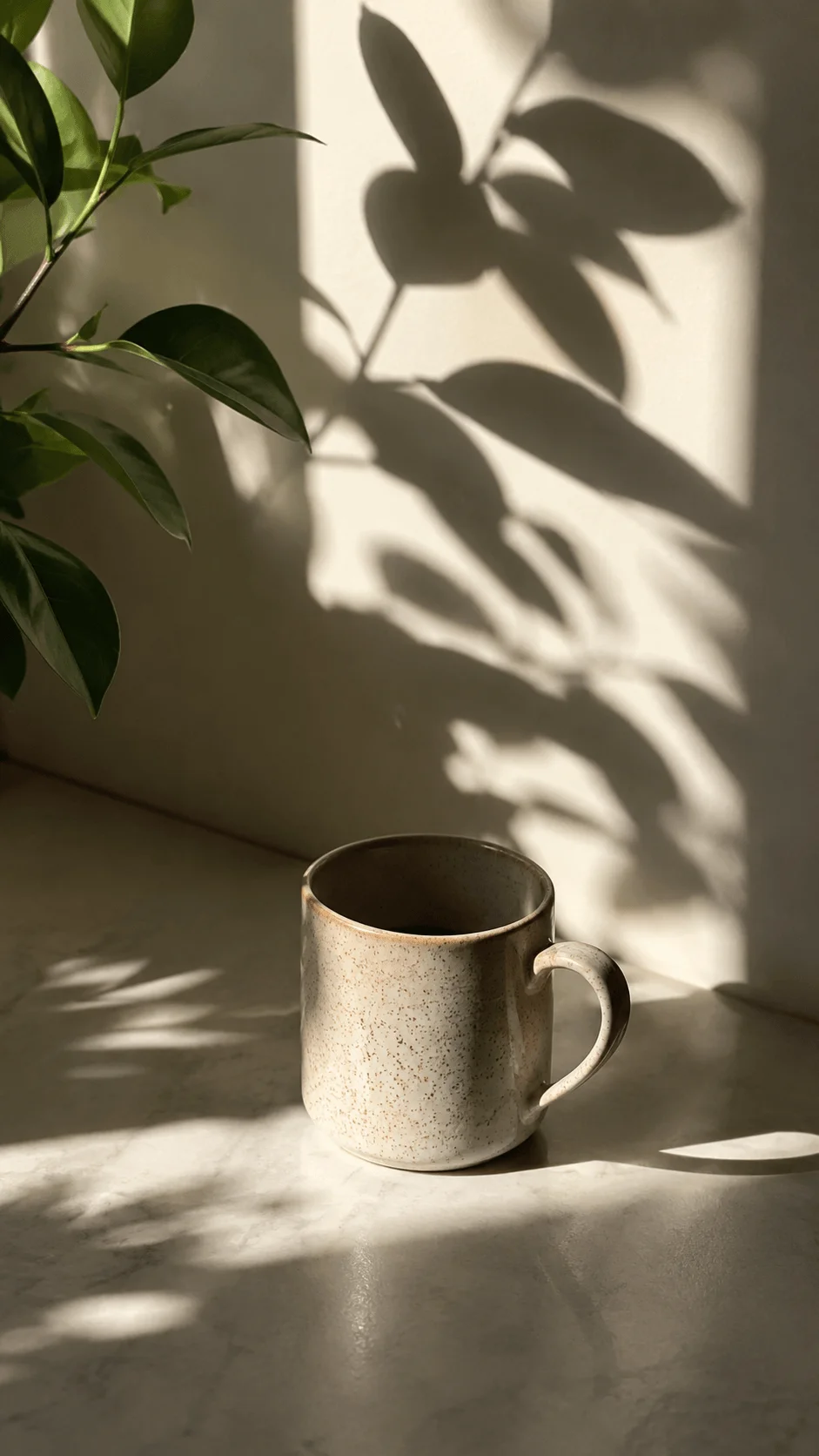 Botanical shadow photography featuring a ceramic cup with leafy plant shadows cast across a sunlit wall and surface