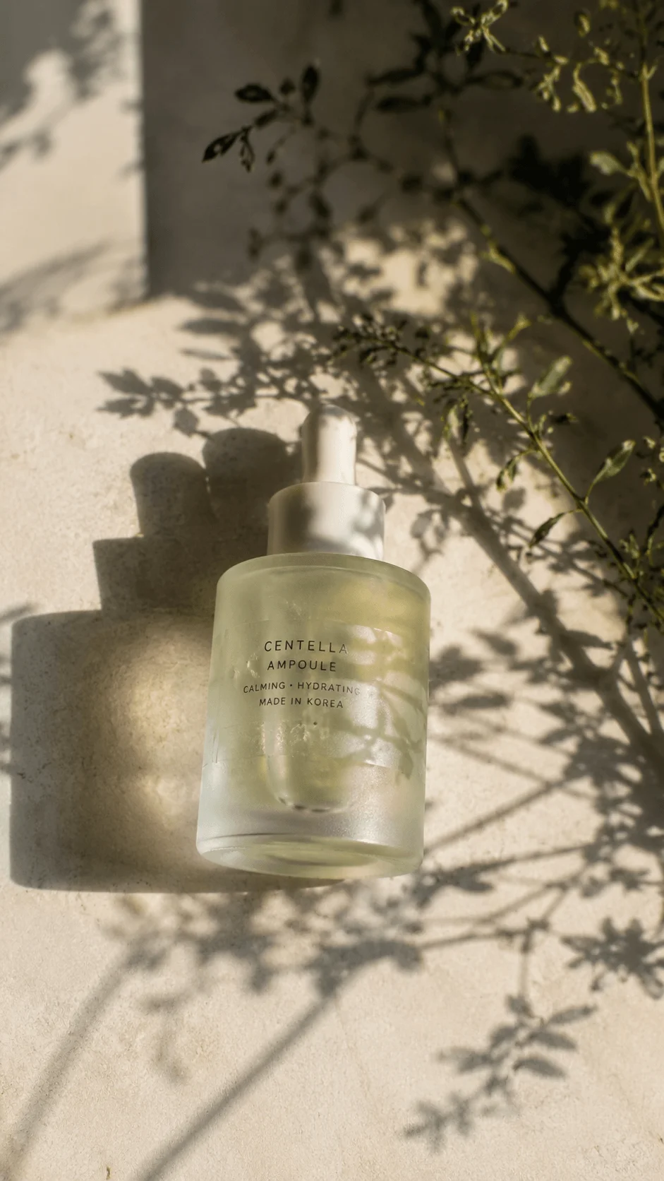 Botanical shadow photography featuring a frosted skincare bottle illuminated by warm natural sunlight and delicate plant shadows