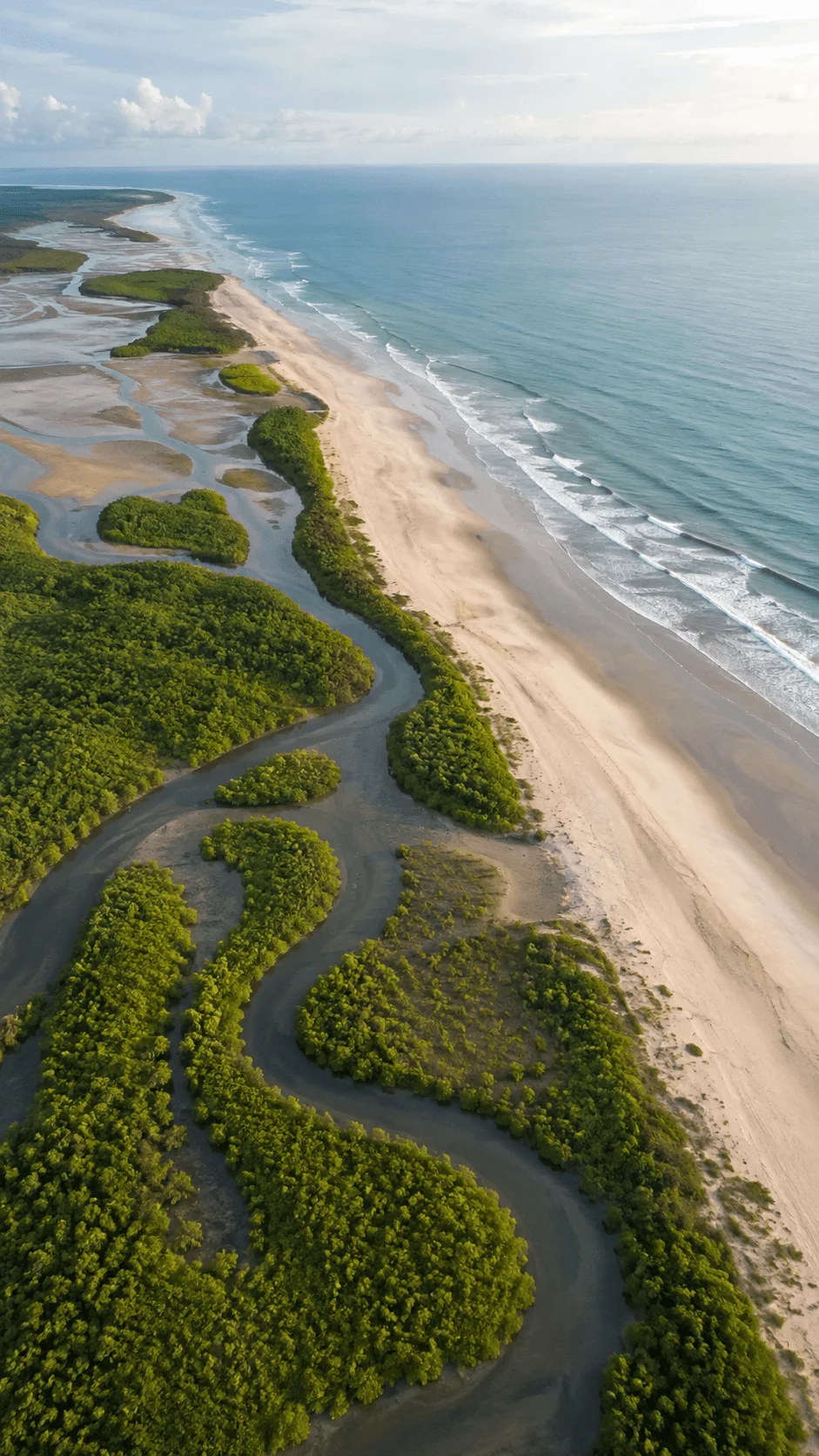 Aerial view of a sandy coastline with turquoise ocean waves, winding tidal channels, and lush green coastal vegetation forming natural patterns.