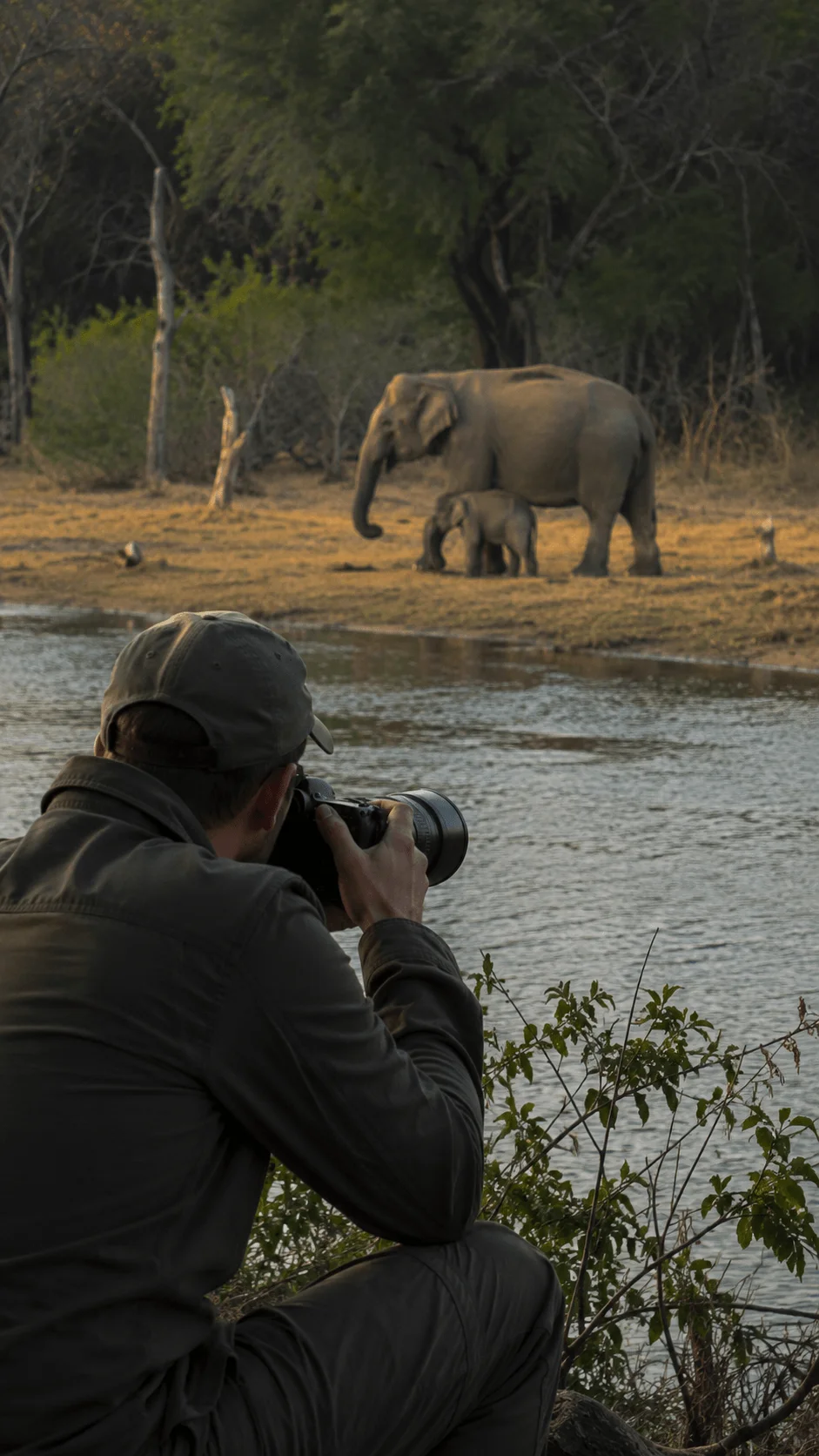 Ethical wildlife photography capturing elephants in their natural habitat from a respectful distance near a forest waterhole