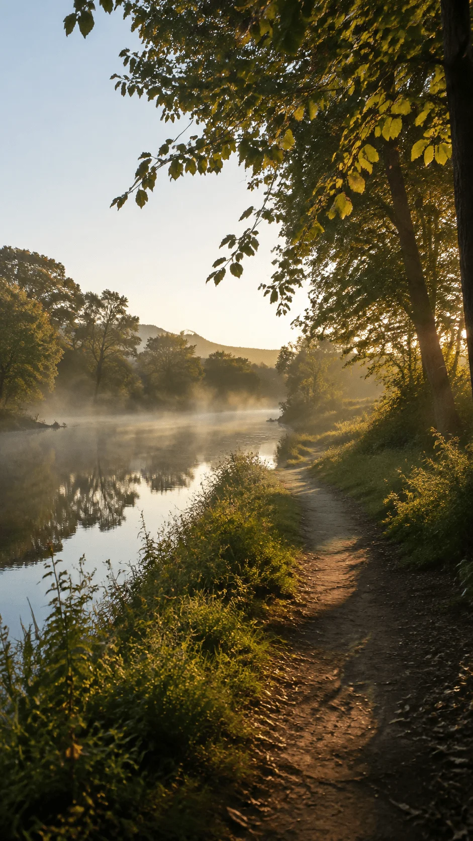 Eco photography featuring a peaceful riverside landscape with misty water, green trees, natural pathways and warm morning sunlight capturing the beauty of local nature storytelling