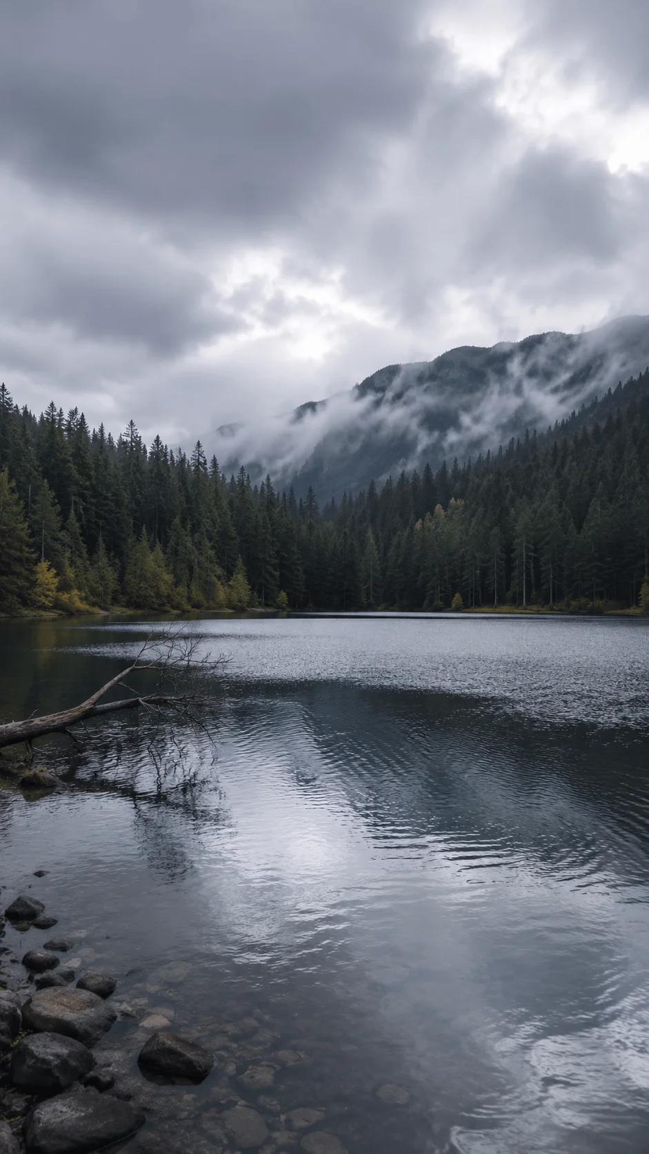 Misty mountain lake surrounded by dense evergreen forest under a cloudy sky with calm rippling water and a fallen tree along the shore