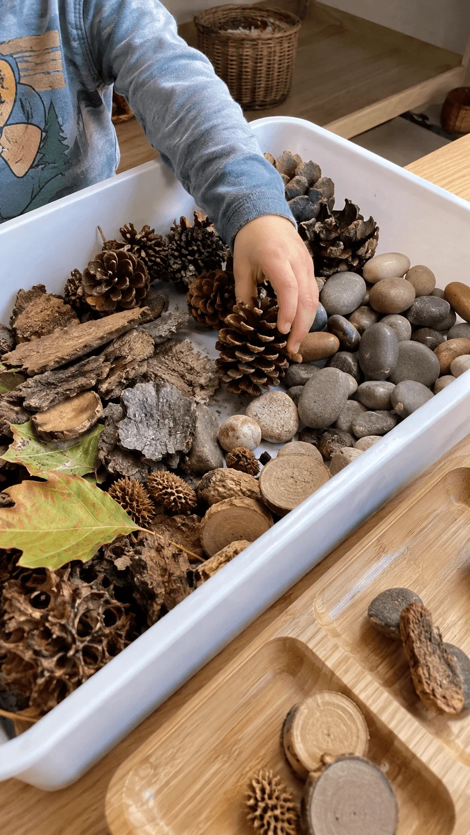 Child exploring a nature sensory tray filled with pine cones stones bark leaves and other natural textures