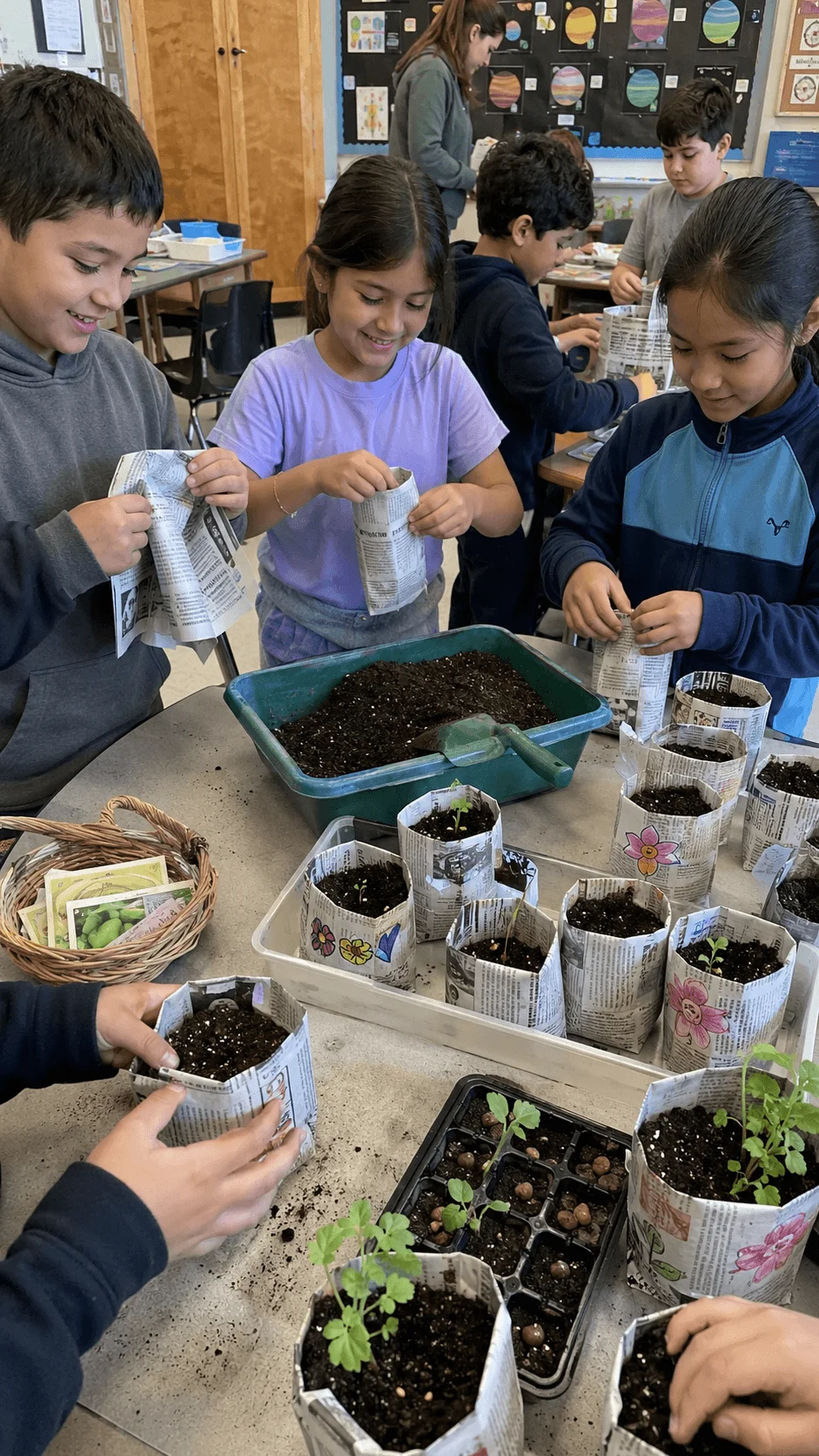 Students making newspaper seedling pots and planting young plants during an eco friendly classroom gardening activity