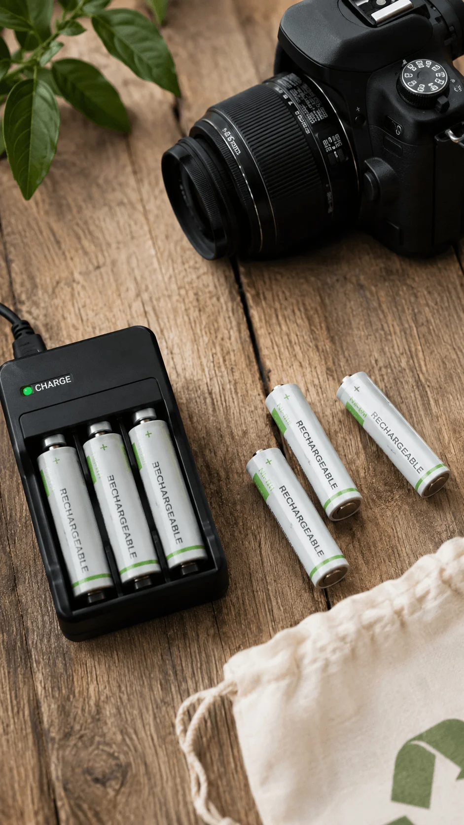Camera with rechargeable batteries and a battery charger on a wooden table beside a reusable storage bag and green plant