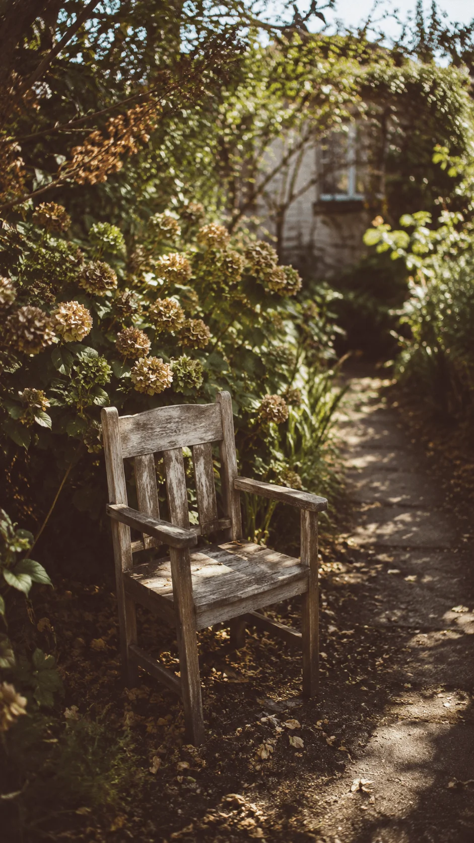 Vintage film inspired nature photography featuring a weathered wooden chair surrounded by lush garden plants and flowers on a sunlit path