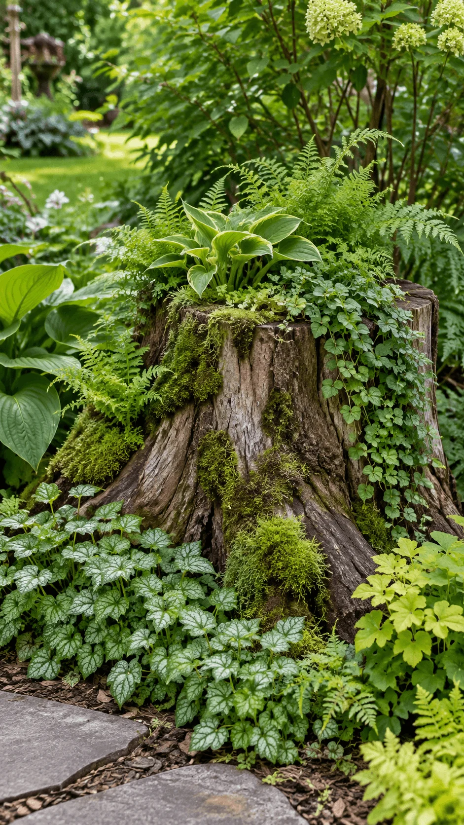 Green on green tree stump garden with lush ferns hostas moss and trailing foliage surrounding a weathered stump in a shaded backyard